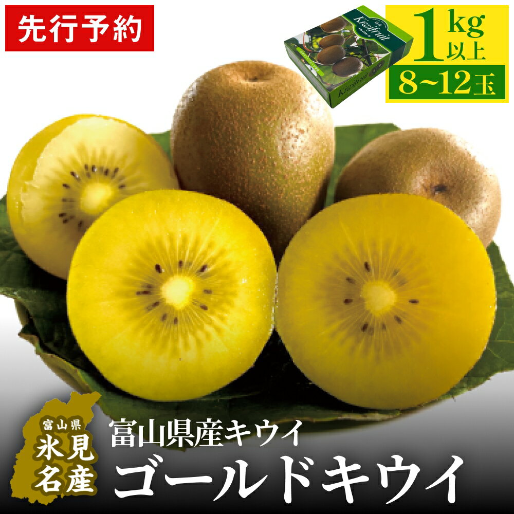 【ふるさと納税】 ＜先行予約＞ 富山県産キウイ（ゴールドキウイ）1kg以上（8～12玉） ＜2025年11月中旬以降順次発送＞ | 数量限定 希少 富山 氷見 ゴールドキウイ 国産 キウイフルーツ ギフト 甘い