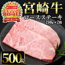 【ふるさと納税】宮崎牛 ロースステーキ(計500g・250g×2枚) 国産 宮崎県産 宮崎牛 牛肉 ステーキ ロース A4 和牛【MI011】【(株)ミヤチク宮崎加工センター】