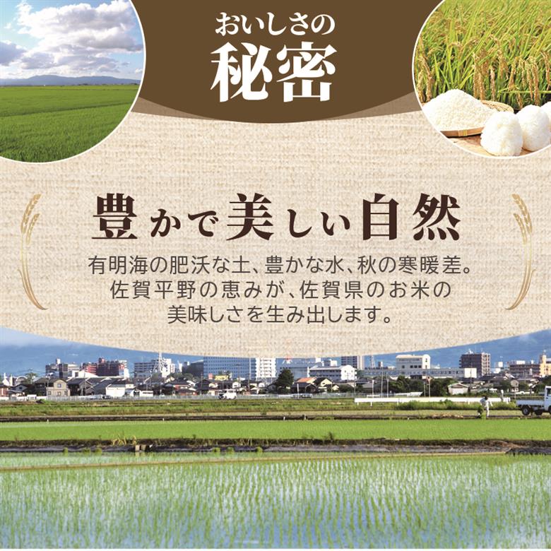≪ 定期便 6回 計 36kg ≫ 令和7年産 米 36kg ( 6kg × 6回 ) さがびより 佐賀県産 特A お米 こめ コメ 白米 五つ星 お米マイスター厳選 弁当
