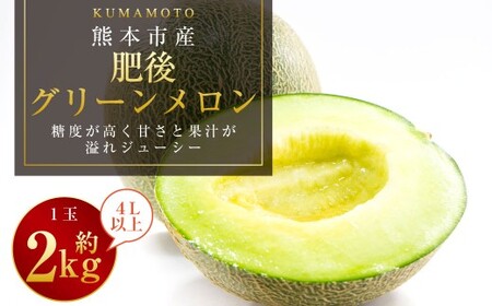 熊本市産 肥後グリーンメロン1玉４L以上 約2kg 【2026年4月下旬～2026年７月下旬発送予定】メロン 青肉 甘いフルーツ プレゼント 贈答 贈り物 果物 熊本県 