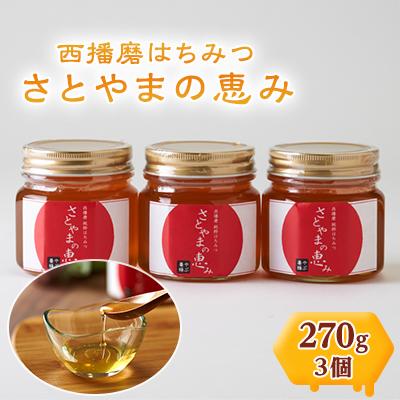 ふるさと納税 太子町 西播磨はちみつ　さとやまの恵み　270g×3本セット