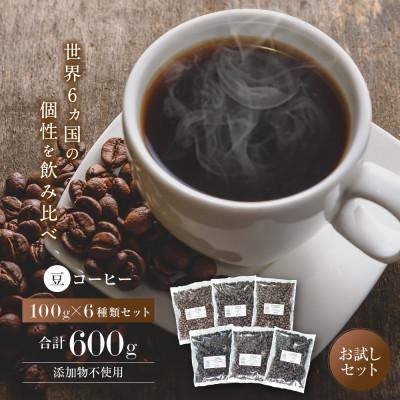ふるさと納税 堺市 【豆】コーヒー 100g×6種類セット 合計600g