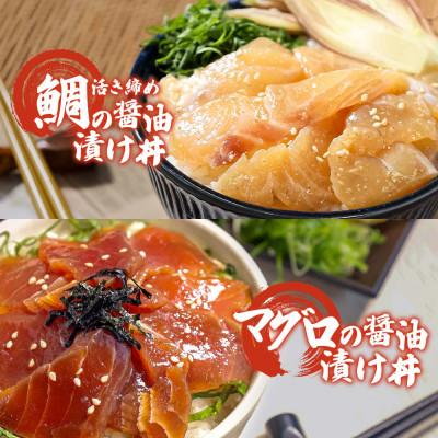 ふるさと納税 土佐市 【訳あり】海鮮漬け丼 (タイ12袋・マグロ8袋) 合計10袋セット 海鮮丼の具 |  | 02