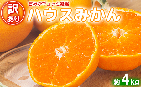 【訳あり・優品】今村農園のハウスみかん 約4kg 訳あり 九州 ＜107-003_7＞