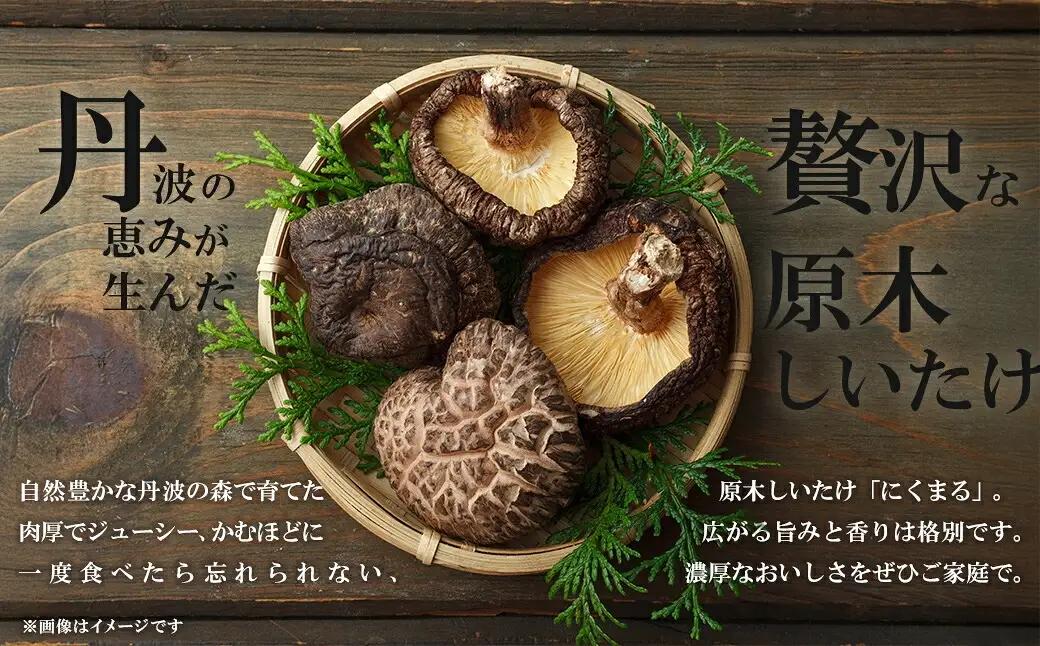 京都丹波 原木しいたけ 500g 丹波かなまろんふぁーむ