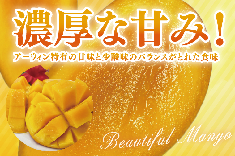 【2026年6月より順次発送】【先行予約】アーウィンマンゴー 3～6玉(約1.5kg)【白箱】 ご家庭用｜マンゴー アーウィンマンゴー アーウィン フルーツ 果物 くだもの おきなわマンゴー おきなわ