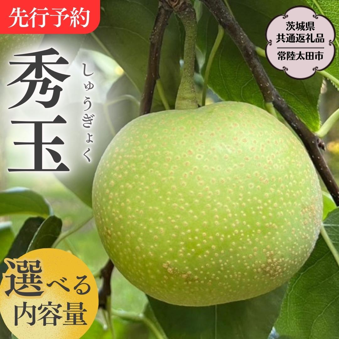 【ふるさと納税】《2025年9月上旬発送開始》茨城県産 『幻の 梨 』 秀玉【茨城県共通返礼品／常陸太田市】 約3kg 約5kg 桧山果樹園 農家直送 桧山果樹園 農家直送 フルーツ 甘い 直送 茨城 限定 ギフト 梨 しゅうぎょく 果物