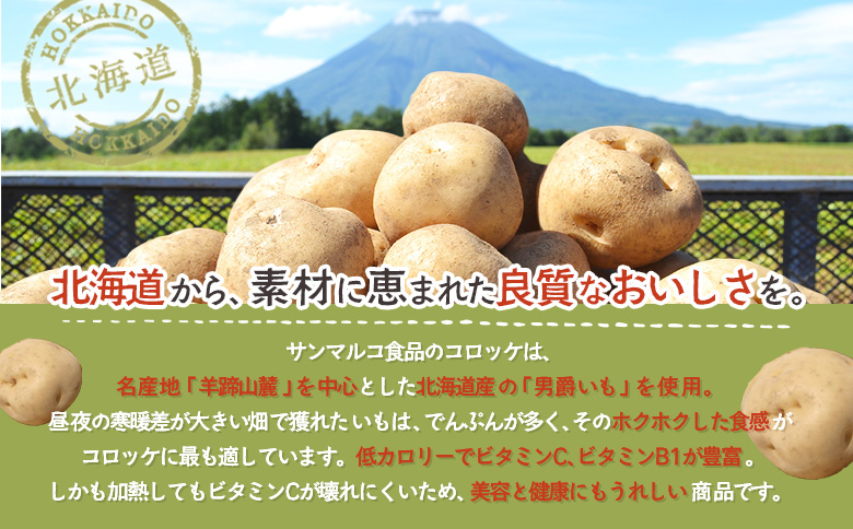 【サンマルコ食品】コロモアコロッケバラエティ全7種 48個セット【07000201】