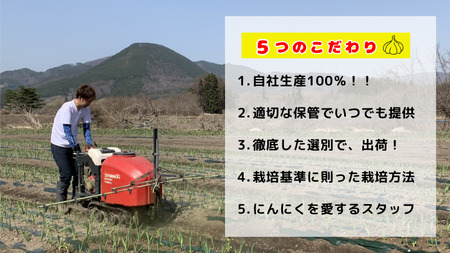青森県田子町産 黒にんにく用バラにんにく(乾燥)  約1kg