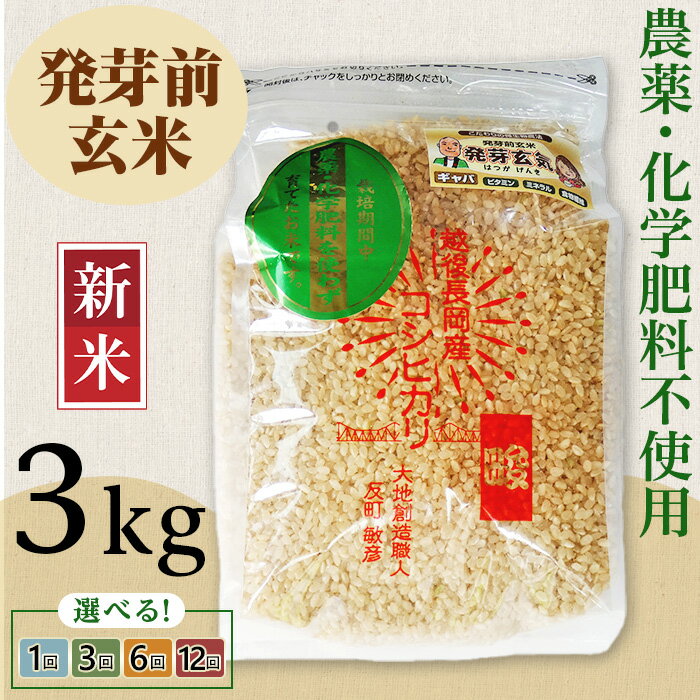 【ふるさと納税】新米予約 令和7年産 米 玄米 発芽前玄米 3kg 新潟 コシヒカリ 定期便 選べる回数 1回 3回 6回 12回 3ヶ月 6ヶ月 12ヶ月 新潟こしひかり お米 健康 腸活 美容 新潟県産コシヒカリ発芽前玄米（大地創造職人 反町敏彦）