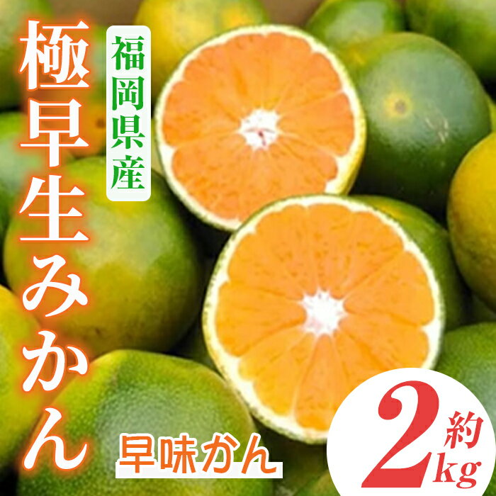 【ふるさと納税】＜先行予約受付中！2026年9月中旬～9月下旬に順次発送予定＞極早生みかん 早味かん(約2kg)みかん ミカン フルーツ 果物 くだもの 柑橘 福岡限定 オリジナルブランド＜離島配送不可＞【ksg0117】【南国フルーツ】