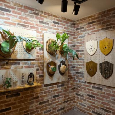 ふるさと納税 あま市 ビカクシダ板　SeamBoard B型　Mサイズ |  | 03