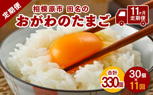 【11ヶ月定期便】相模原市田名のおがわのたまご　ピンク卵 Mサイズ 30個(27個＋割れ補償3個)×11か月| 卵 鶏卵 玉子 たまご 生卵 国産 濃厚 コク 旨味 旨み