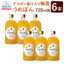 【ふるさと納税】デコポン果汁入 梅酒「うめぽん」 6本セット 720ml×6本 合計4320ml 4.32L 10度 本格米焼酎 焼酎 お酒 球磨焼酎 セット 高橋酒造 送料無料