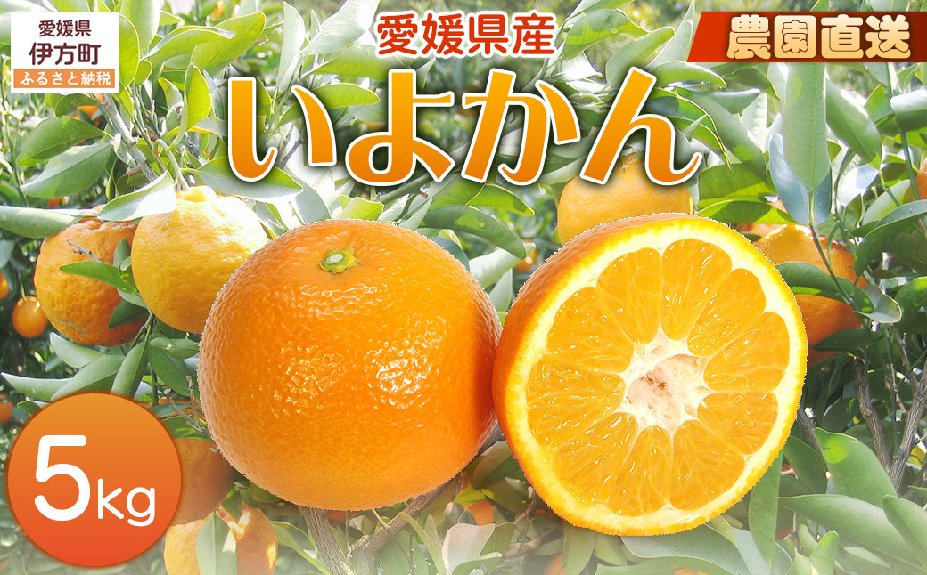
                  【栽培期間中農薬不使用】【先行受付】【数量限定】農園直送！愛媛県産 いよかん 5kg （2027年1月中旬頃より順次発送） 【 ふるさと納税 人気 おすすめ ランキング 柑橘 みかん ミカン 蜜柑 いよかん 伊予柑 フルーツ 果物 産地直送 ギフト 贈り物 栽培期間中農薬不使用 木野本農園 愛媛県産 愛媛県 伊方町 送料無料 】 IKTG015
                