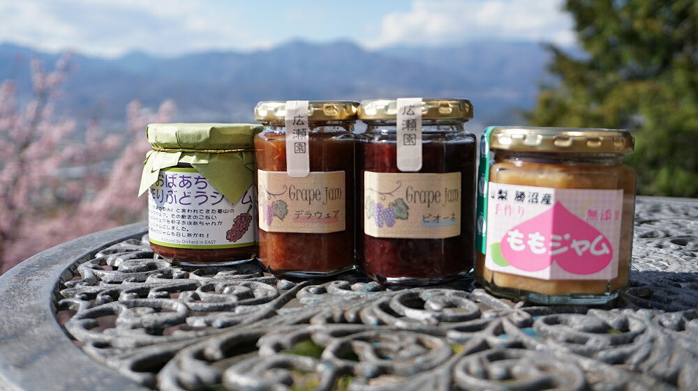 【ふるさと納税】 ジャム セット 甲州市産 加工品 巨峰 ぶどう プラム もも 季節のフルーツ 旬 ギフト パン ヨーグルト 瓶詰 贅沢 山梨県 甲州市【B-901】