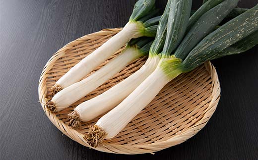 【冬季限定・数量限定】下仁田ねぎの鍋セット ～大学生と共同開発した下仁田ねぎ専用鍋つゆと名産下仁田ねぎと自社製造生芋しらたきをセットにして～ 鍋セット 鍋 なべ 詰め合わせ セット 食品 F21K-6