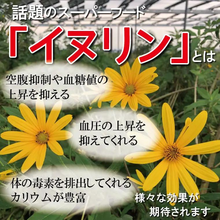 菊芋堀り 体験 （10kgまでお持ち帰りいただけます） 芋ほり 芋掘り お持ち帰り お土産 みやげ 粉末 パウダー イヌリン 国産 いも 菊芋茶 菊芋チップス SDGs エコ サスティナブル 農薬不使