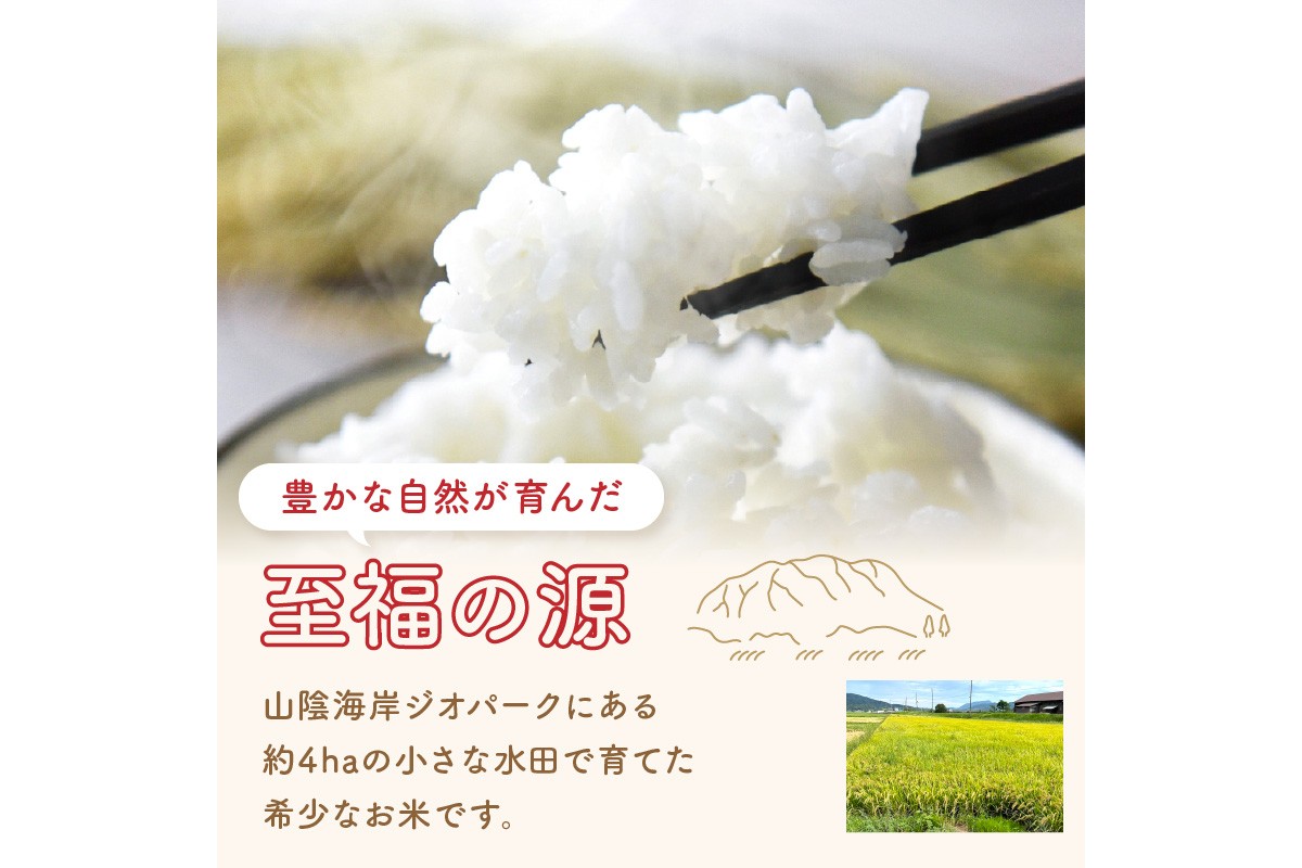 丹後弥栄産コシヒカリ（玄米10kg）　NF00004