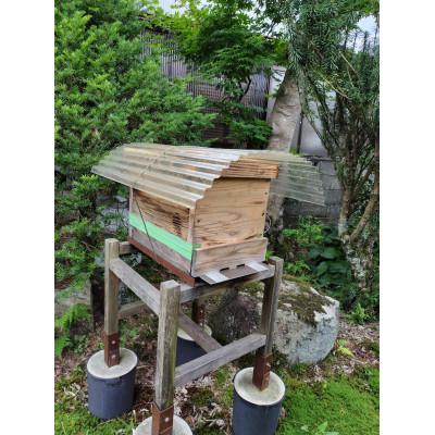 ふるさと納税 高山市 日本みつばちの百花蜜 《ひだの百花蜜》 150g 2本 桐箱入り PN001 |  | 02