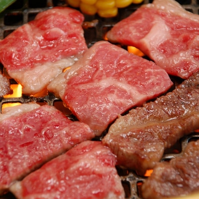 【GI認証】くまもとあか牛　カルビ焼肉用 600g(南阿蘇村)【配送不可地域：離島】【1254211】