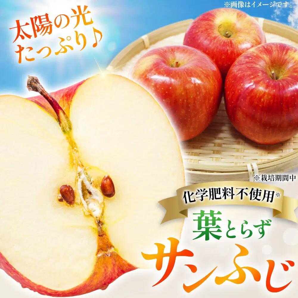 りんご 葉とらず サンふじ 贈答用 約3kg【11月下旬～発送】りんご