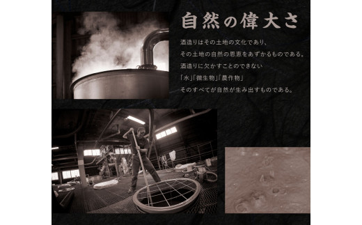 宮崎焼酎 えびのいそじ 720ml × 2本 セット 本格焼酎 えびの市制施行50周年記念ボトル 25度 コガネセンガン 芋焼酎 ビン 焼酎 お酒 アルコール 記念 明石酒造 えびの産 国産 宮崎県 