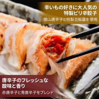 ふるさと納税 本巣市 徳山唐辛子餃子 80個(40個入×2袋) 生冷凍 |  | 01