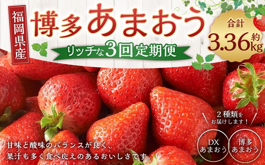 
                  博多あまおうリッチな3回定期便 いちご イチゴ 苺 あまおう くだもの 果物 フルーツ 果実 果汁 果肉 定期便 定期 定期配送 国産 福岡県産 【 2026年12月上旬～2027年2月下旬発送予定 】
                