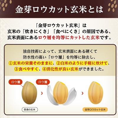 ふるさと納税 坂戸市 金芽ロウカット玄米(無洗米)4kg×1袋(国内産) |  | 01
