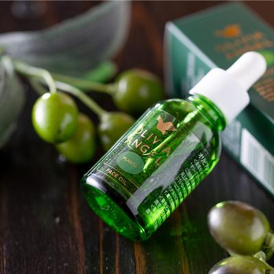 ふるさと納税 日置市 OLIVIA ANGEL PLANTA フェイスオイル[20ml×1]