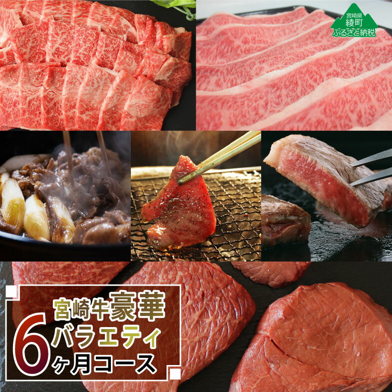 【ふるさと納税】【定期便】A4A5等級 黒毛和牛 宮崎牛豪華バラエティ6ヶ月コース 合計4.6kg 贅沢 ステーキ 焼肉 牛肉 しゃぶしゃぶ すき焼き BBQ ステーキ 冷凍 内閣総理大臣賞受賞 宮崎県産 国産 送料無料