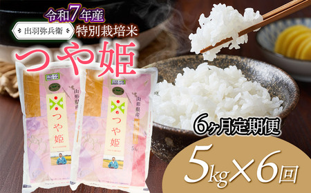 【令和7年産】【定期便6ヶ月】特別栽培米 つや姫 【白米】 5kg×6ヶ月　山形県鶴岡市産　出羽弥兵衛