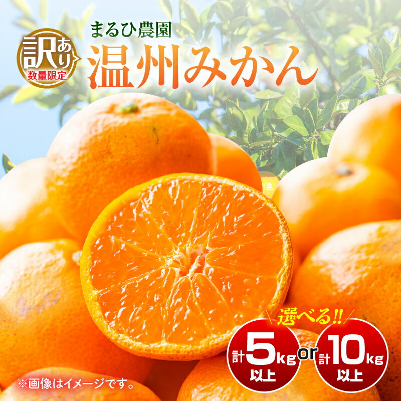 【ふるさと納税】≪内容量が選べる≫訳あり 温州 みかん 傷み補償分入り まるひ農園 期間限定 数量限定 フルーツ 果物 くだもの 柑橘 ミカン 国産 食品 デザート おやつ 人気 スイーツ おすすめ ご家庭用 訳アリ ワケあり おすそ分け 新鮮 産地直送 宮崎県 日南市 送料無料