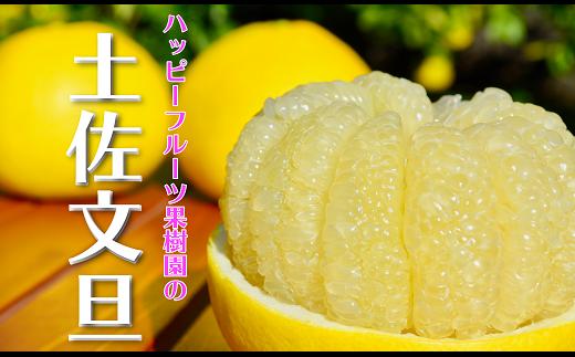 ハッピーフルーツ果樹園 土佐文旦 5kg 家庭用 L~3L 文旦 ぶんたん みかん 高知 フルーツ スイーツ 蜜柑 お裾分け デザート 柑橘