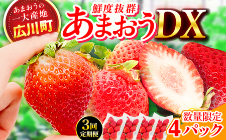 【3回定期便】博多あまおう 2ケース　広川町 / JAふくおか八女農産物直売所どろや[AFAB081]