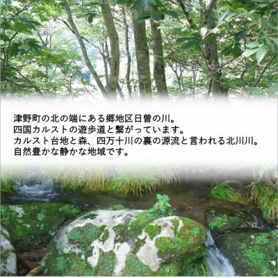 ふるさと納税 津野町 四万十源流　松ちゃんの薪　18kg〜20kg |  | 01