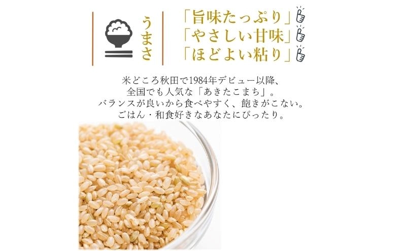 令和7年産 新米 食べ比べ セット 玄米 ひとめぼれ＆あきたこまち 各5kg 計10kg 秋田県 能代市産 お米 ブランド米