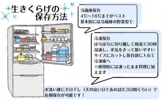 【希少/申込9月15日まで】純国産 生きくらげ900g（150ｇ×6パック）_1798R