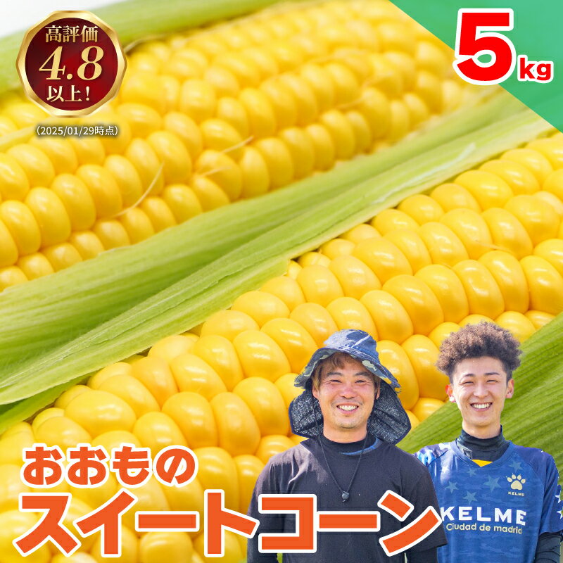 【ふるさと納税】 とうもろこし 5kg スイートコーン 甘い おおもの 朝どり 《 2026年6月中旬頃から順次発送 》 大粒 コーン サラダ 野菜 やさい 新鮮 サラダ 醤油 バター 砂糖 焼き肉 焼肉 バーベキュー BBQ キャンプ アウトドア スープ コーンスープ 先行予約 徳島県 阿波市