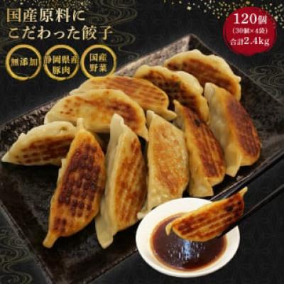 ふるさと納税 藤枝市 国産原料餃子 120個セット |  | 01