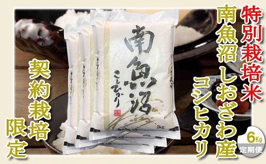 【定期配送６Kg×１２ヶ月】特別栽培 生産者限定  南魚沼しおざわ産コシヒカリ