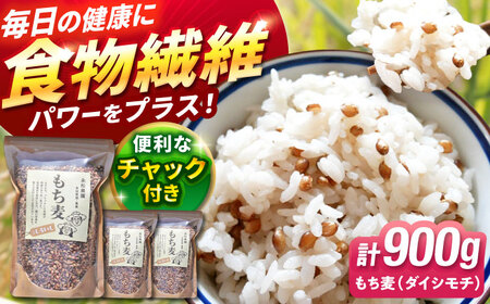 白石産もち麦900g / もち麦 [IAA003]