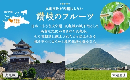 フルーツ定期便 丸亀讃美果 計12回定期便／ 果実 果物 旬 定期配送 シャインマスカット 桃 みかん いちご ピオーネ ぶどう　詰め合わせ 詰合せ  