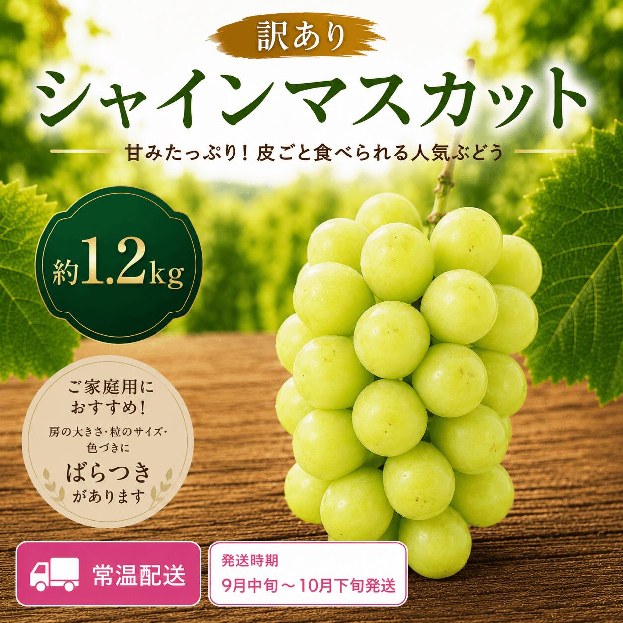 【ふるさと納税】訳あり シャインマスカット 約1.2kg 常温配送《9月中旬-11月中旬出荷予定(土日祝除く)》広島県 神石高原町 果物 フルーツ ぶどう 訳あり 送料無料