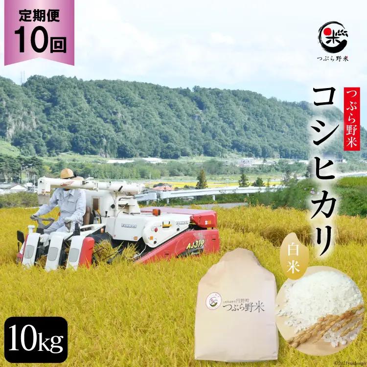 米 令和8年 10回 定期便 つぶら野米 コシヒカリ 白米 10kg×10回 総計100kg
