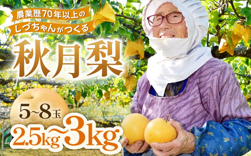 
                  【先行予約】しづちゃんが作る秋月梨 5～8玉入（2.5～3kg） 農業歴70年以上！※2026年9月中旬以降順次発送予定 [aw075-a008]
                