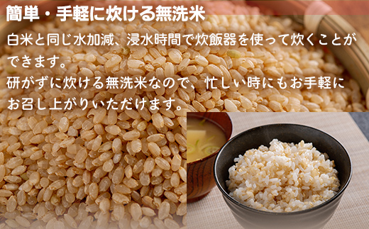 北海道米の発芽玄米「ななつぼし・ゆめぴりか」食べ比べセット（500g×2種×5セット)計5kg MKWAH011