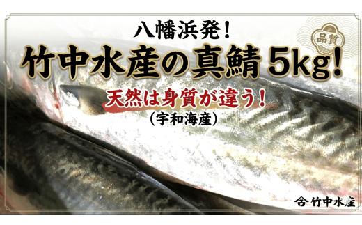 竹中水産の真鯖5キロ!＜F22-241＞【1073402】 YWTM059
