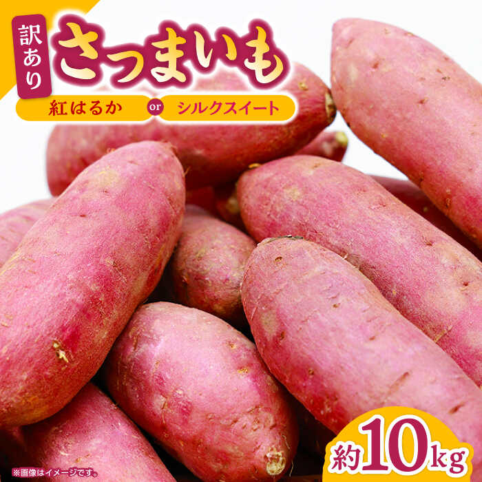 【ふるさと納税】【数量限定】訳あり さつまいも 紅はるか or シルクスイート 蜜芋 10kg イモ さつま芋 サツマ芋 薩摩芋 サイズ 大 小 10キロ 詰め合わせ 人気 名産 お芋 ねっとり しっとり 甘い 甘藷 唐芋 保存 種類 産地 品種 量 国産 産地直送【合同会社 福福堂】[ZCN001]